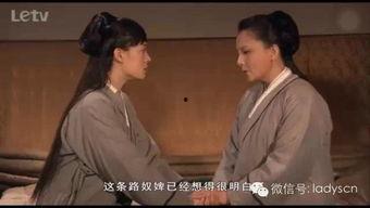 les在线观看x关系,LES在线观看中的情感纠葛与人性探索  第3张