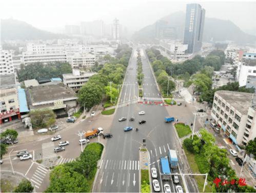 新七大道爆料最新消息,揭秘神秘项目背后的惊人真相